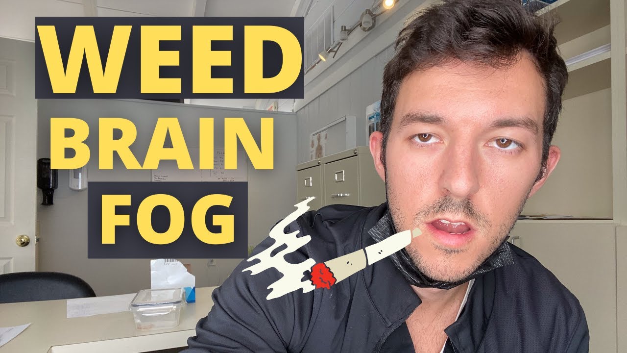 Brain Fog After Smoking Weed Causes and Solutions Bloomsies