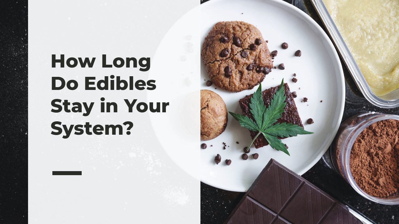 How Long Do Edibles Stay In Your System? A Comprehensive Guide - Bloomsies