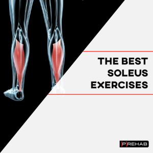 Soleus Pushup: A Complete Guide to the Ultimate Calf Workout - Bloomsies
