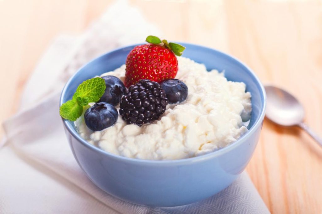 Good Cottage Cheese Nutritional Benefits and Health Effects Bloomsies