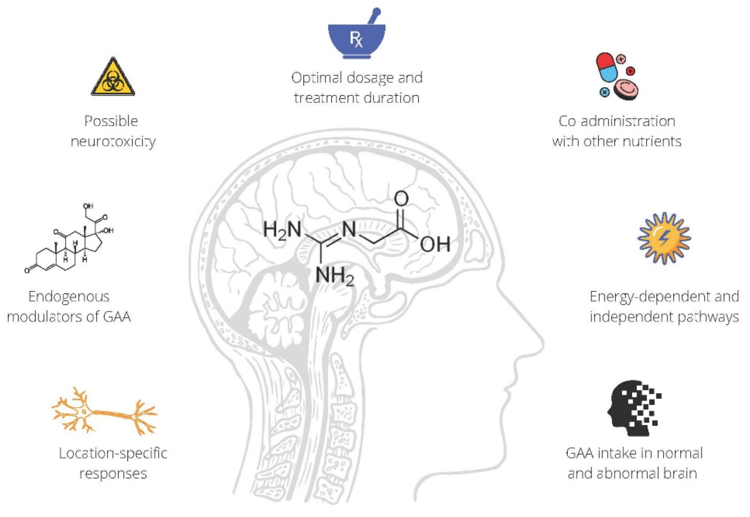 understanding-creatine-headache-causes-symptoms-and-treatment