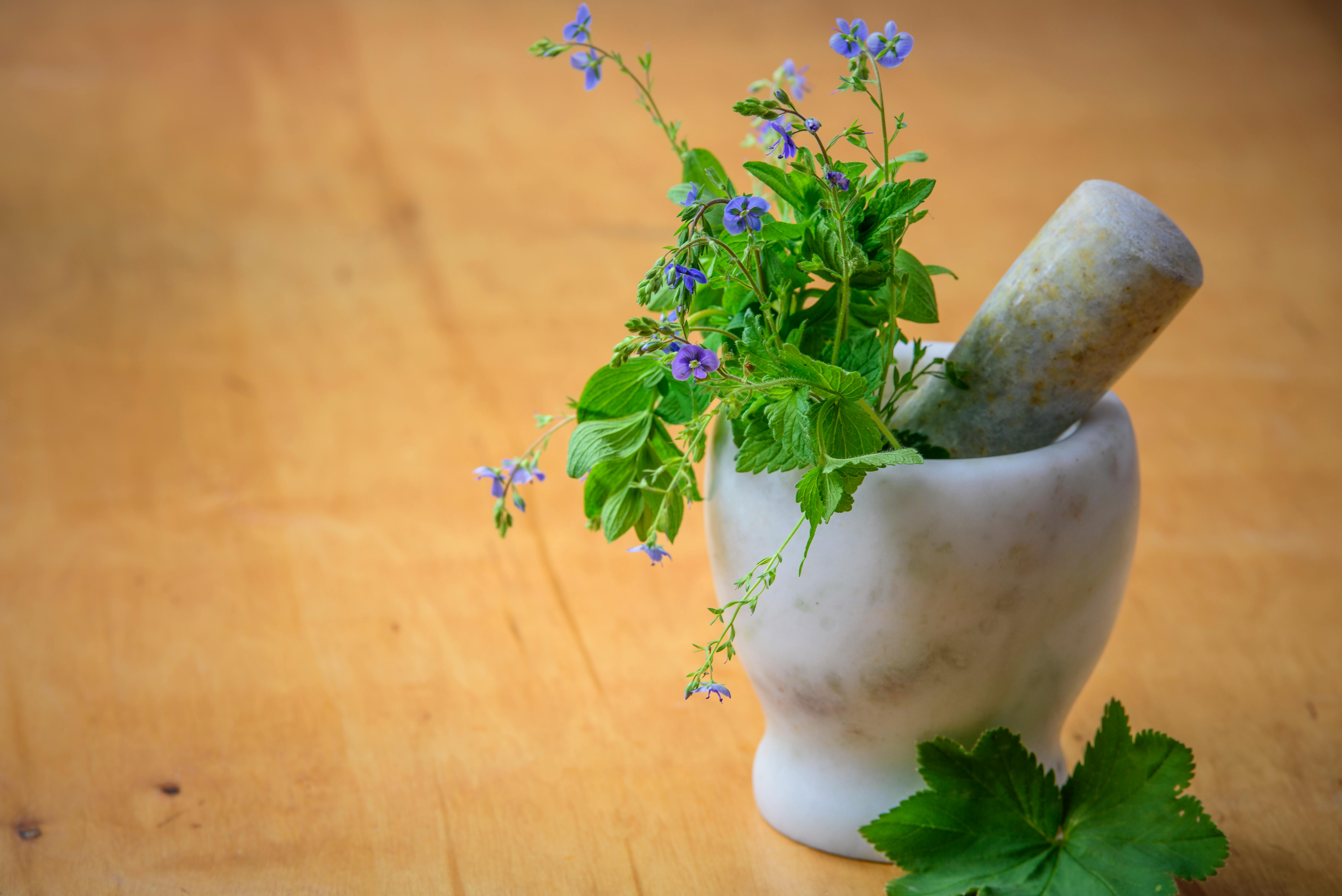 Marble mortar and pestle with fresh herbs and flowers on wooden table enhancing natural health and cooking aesthetics.