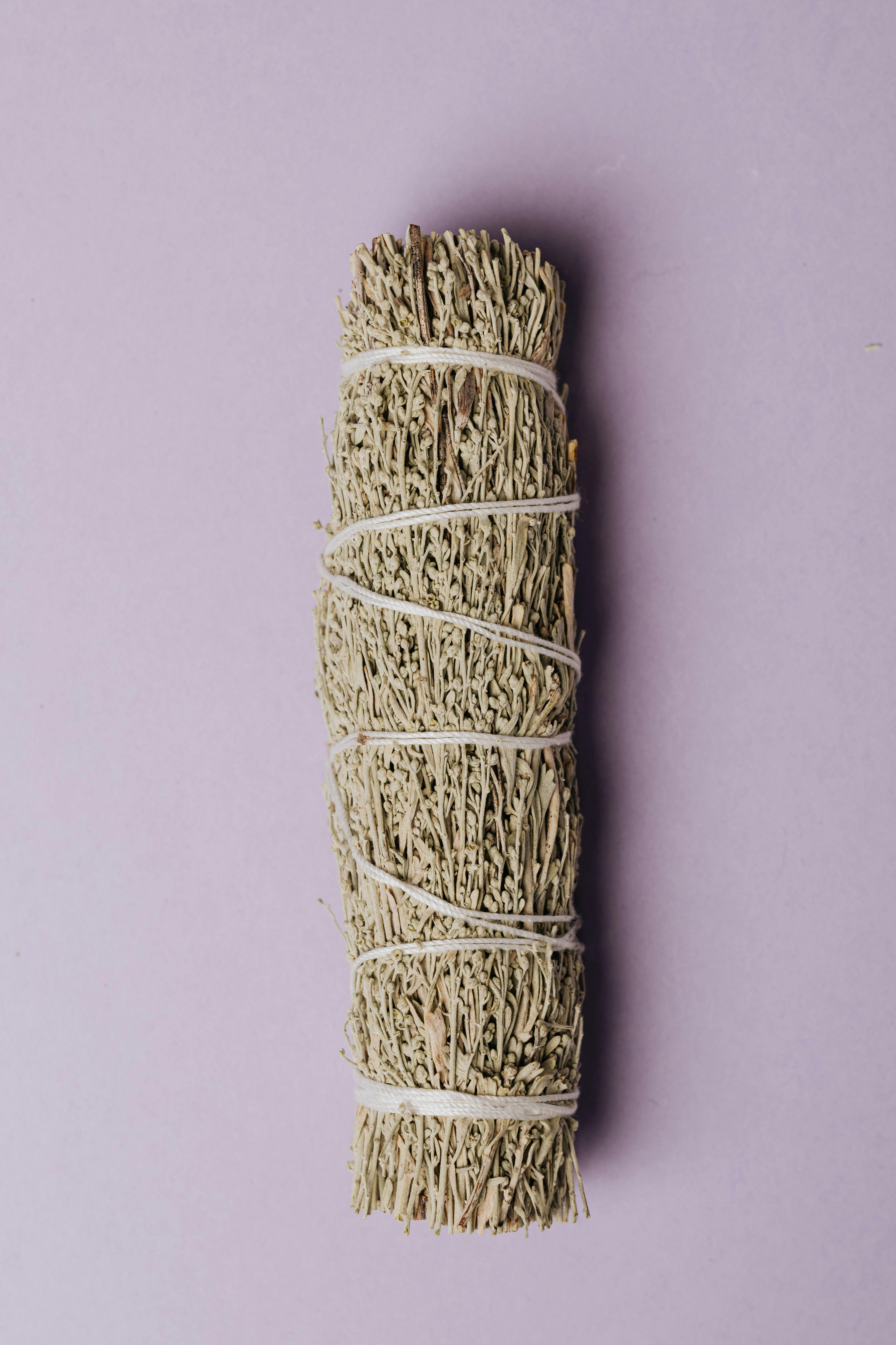 Sage smudge stick wrapped in string on a pastel background, perfect for wellness themes.