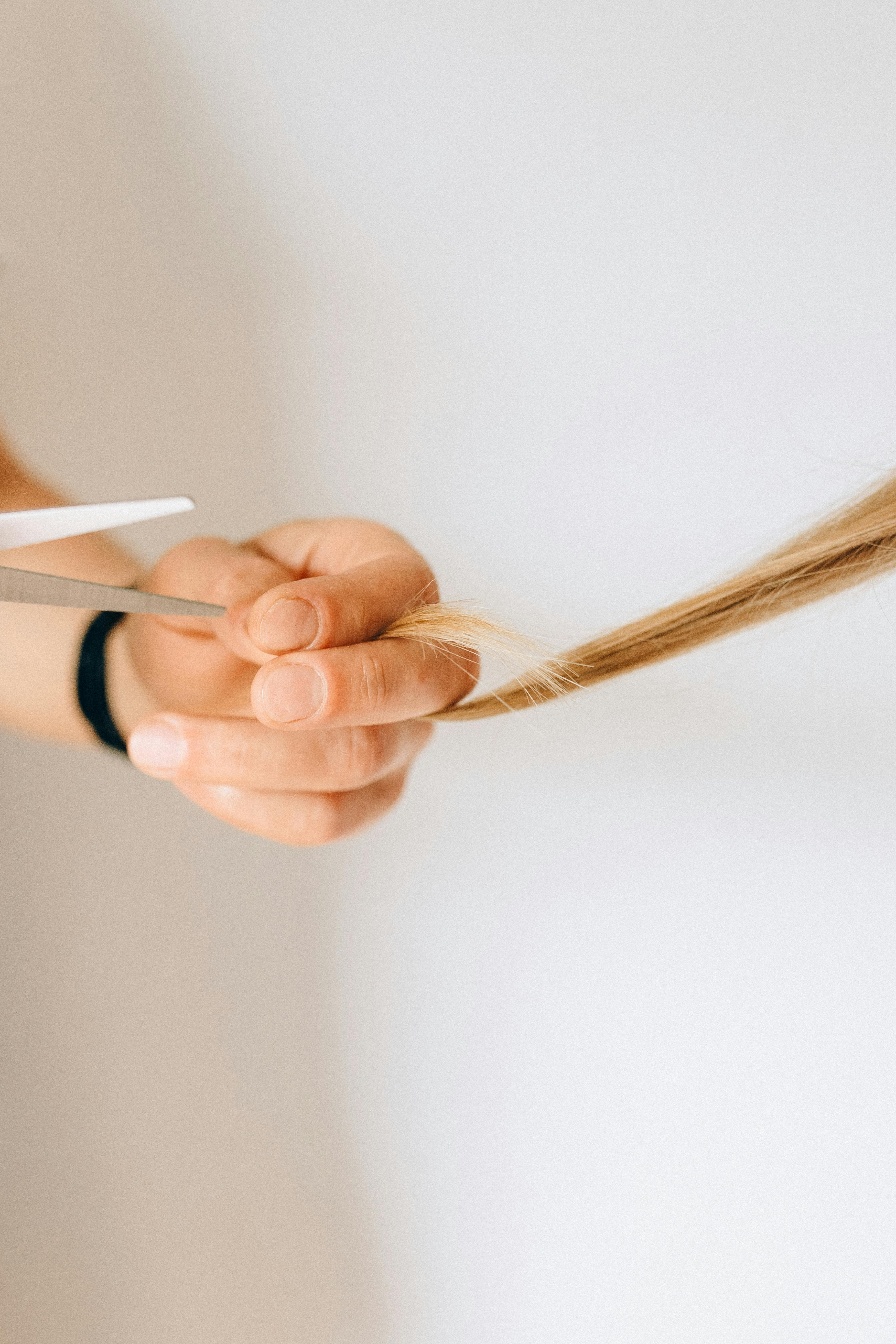 Detailed close-up of a hand holding hair while cutting with scissors against a white background.